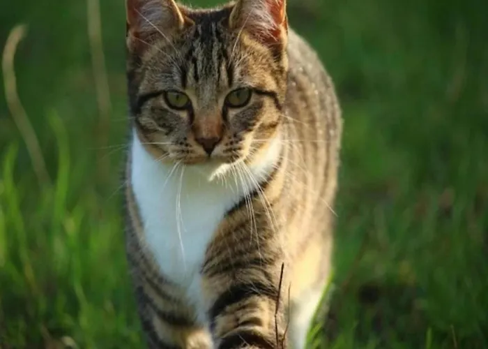 Tatil Evi House In Arnhem With Rhine Views Maurik