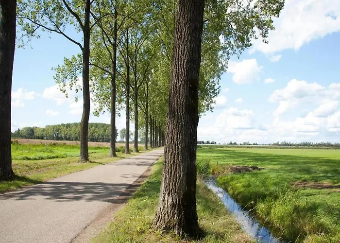House In Arnhem With Rhine Views *