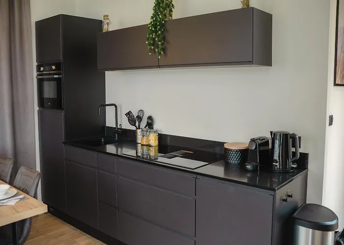 House In Arnhem With Rhine Views Maurik